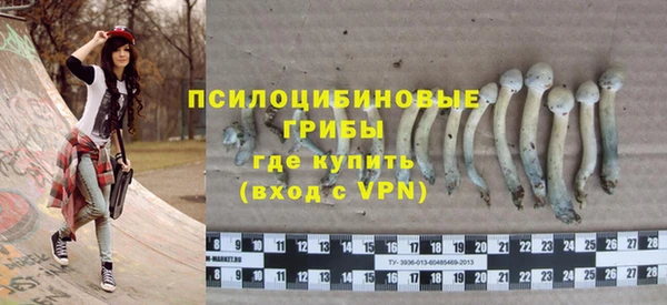 спиды Нефтегорск
